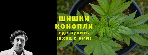 винт Коряжма