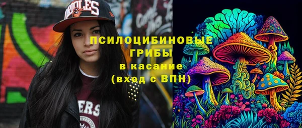 винт Коряжма