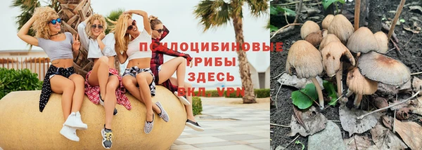 прущая мука Костерёво