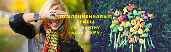 скорость Корсаков