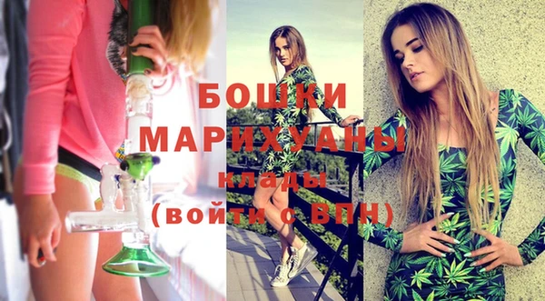spice Краснослободск