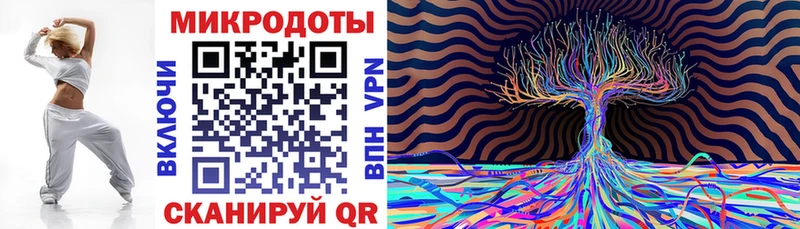 Галлюциногенные грибы Cubensis  Купить закладки  Балашов 