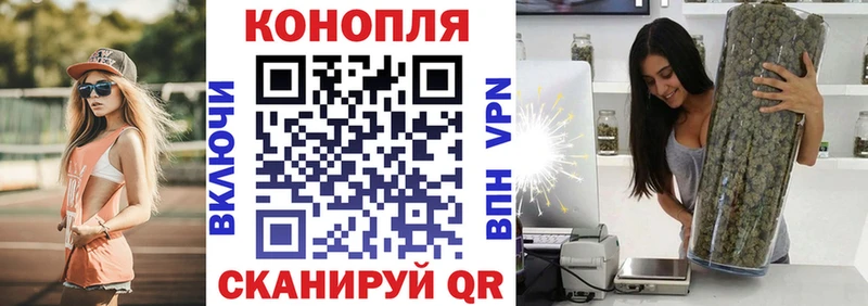 Канабис план  Купить  Балашов 